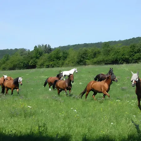 Kleine Auszeit Bleicherode