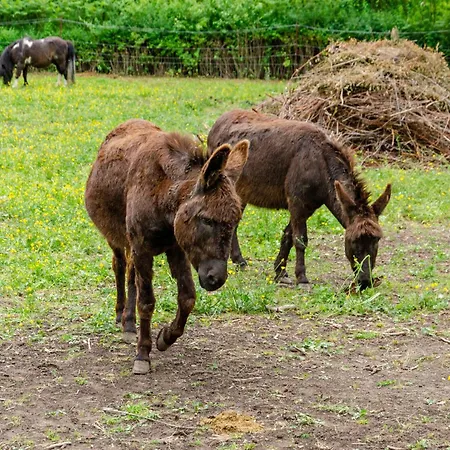 Kleine Auszeit Bleicherode