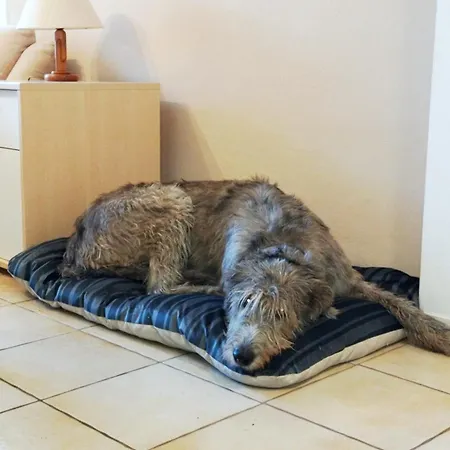 Vakantiehuis Kleine Auszeit Bleicherode