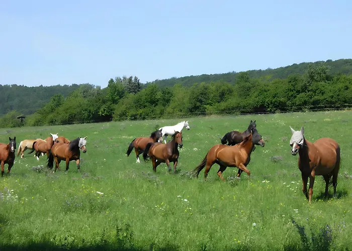 Kleine Auszeit Bleicherode
